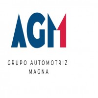AGM GRUPO AUTOMOTRIZ MAGNA + GRÁFICA A COLORES