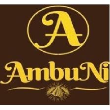 A AMBUNI+LOGOTIPO