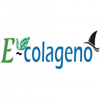 E - colageno más diseño
