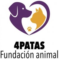 4PATAS Fundación animal + diseño a colores