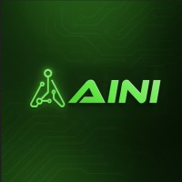 AINI + DISEÑO A COLORES