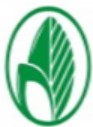 DISEÑO (hojas)