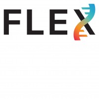 FLEX Y LOGOTIPO
