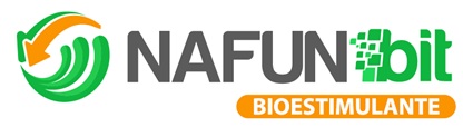 NAFUN bit y diseño