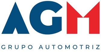 AGM GRUPO AUTOMOTRIZ + GRÁFICA A COLORES